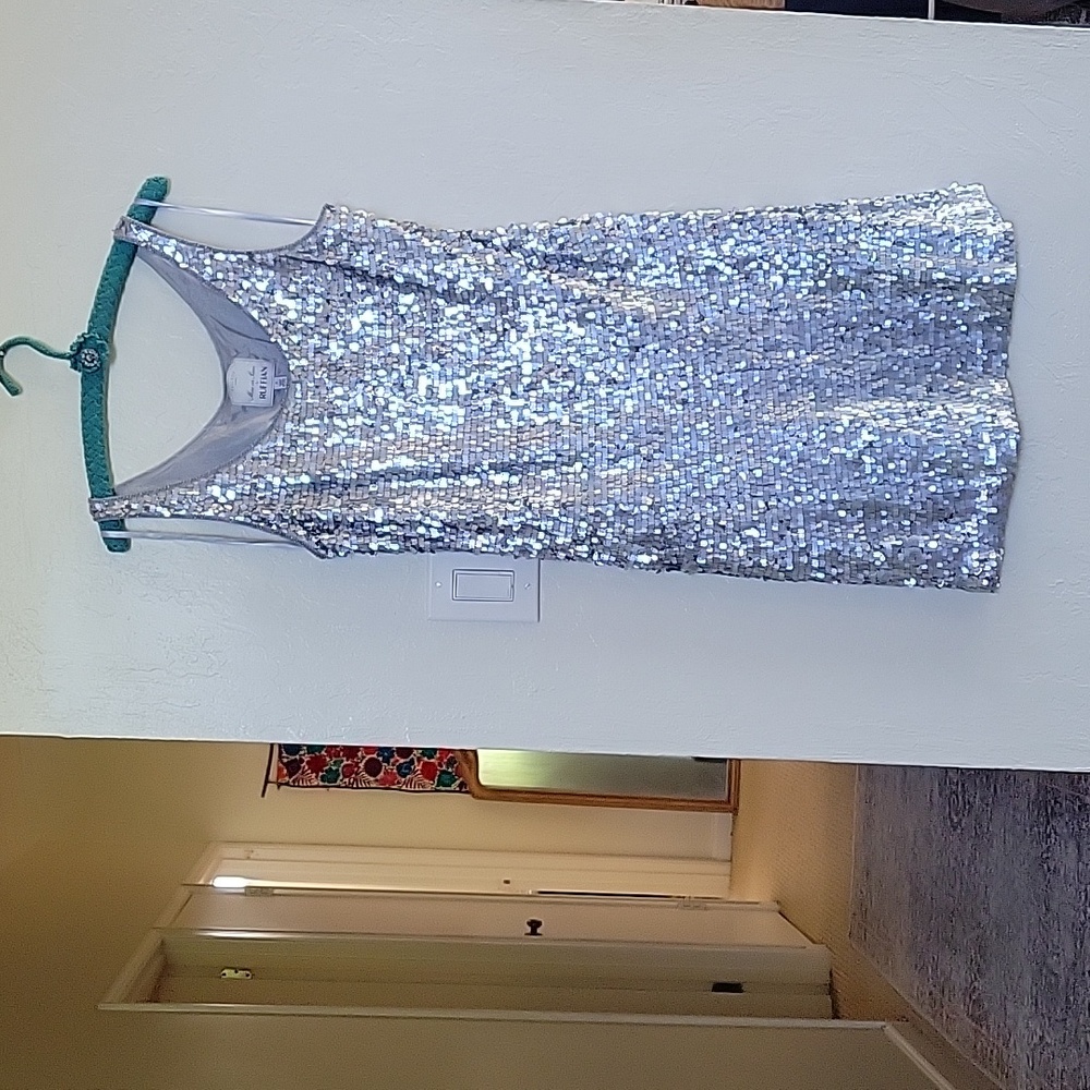 BNWOT Silver Sequins Dress